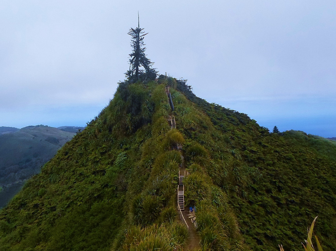 The Peaks-St Helena Island必去景点