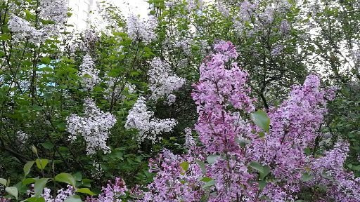 石门公园-石家庄市必去景点