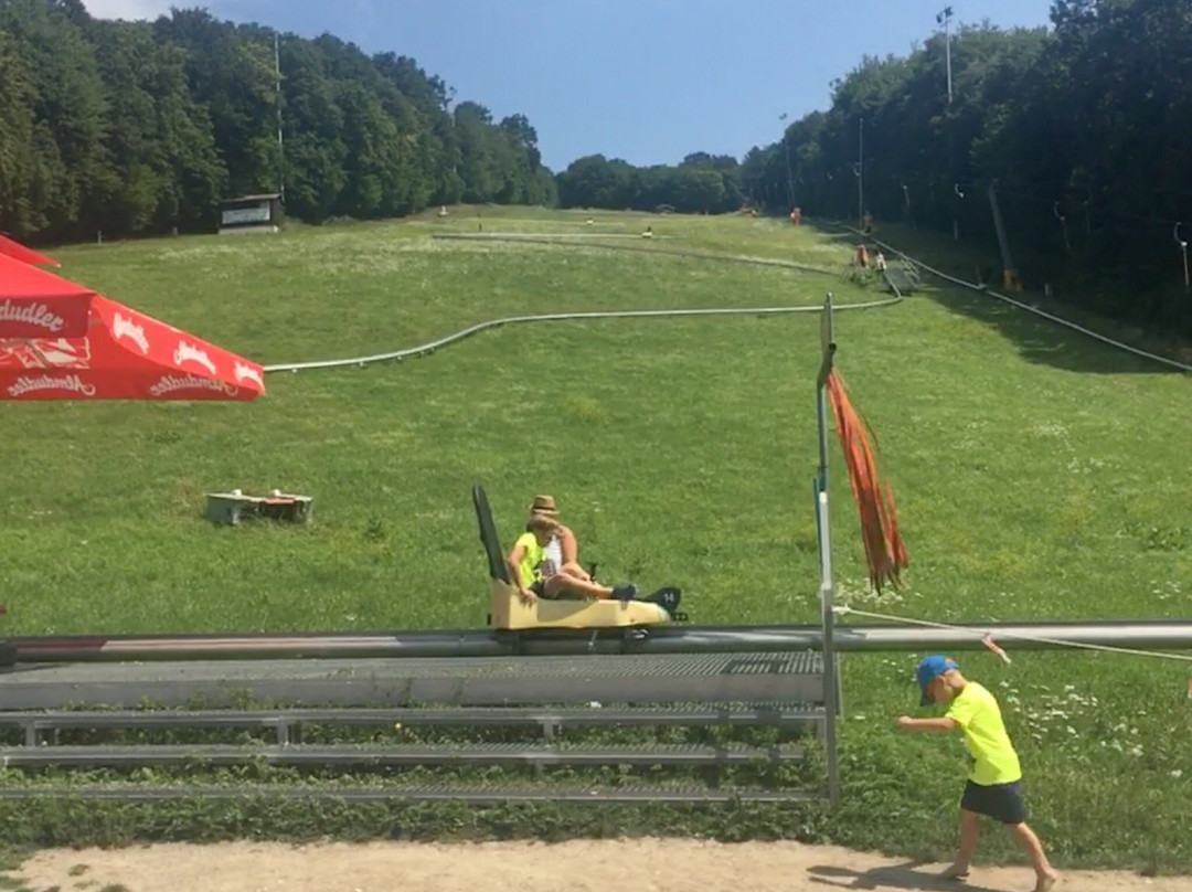Hohe Wand Wiese-维也纳必去景点