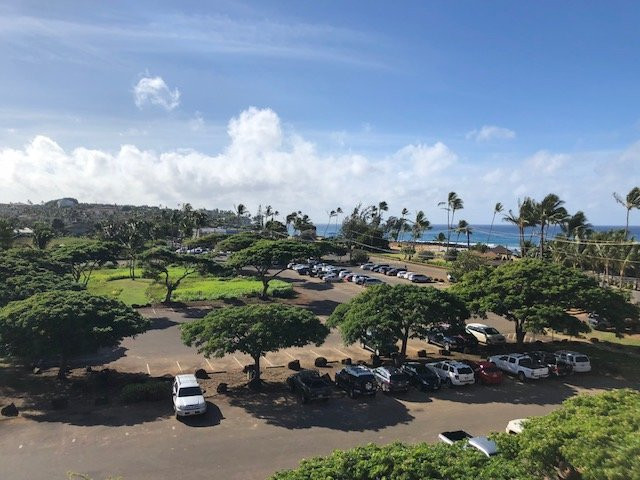 威尔哈伊海滩俱乐部万豪酒店主图