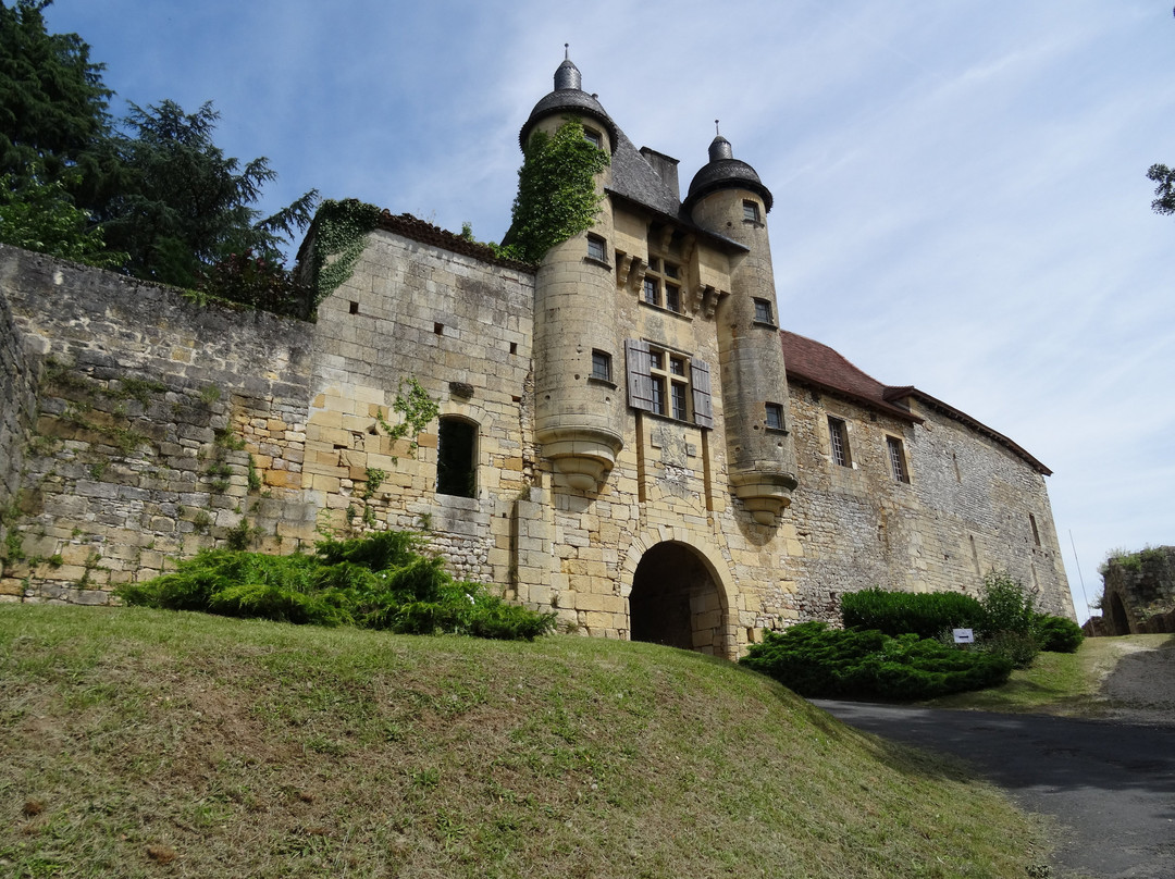 Château d'Excideuil景点图片
