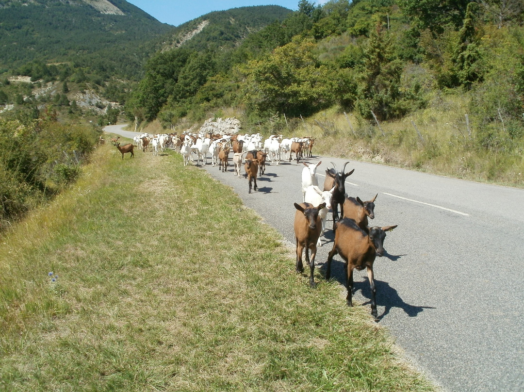 Ferme Monge景点图片