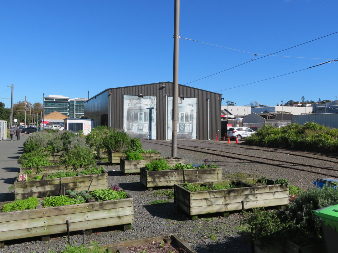 Auckland Dockline Tram景点图片