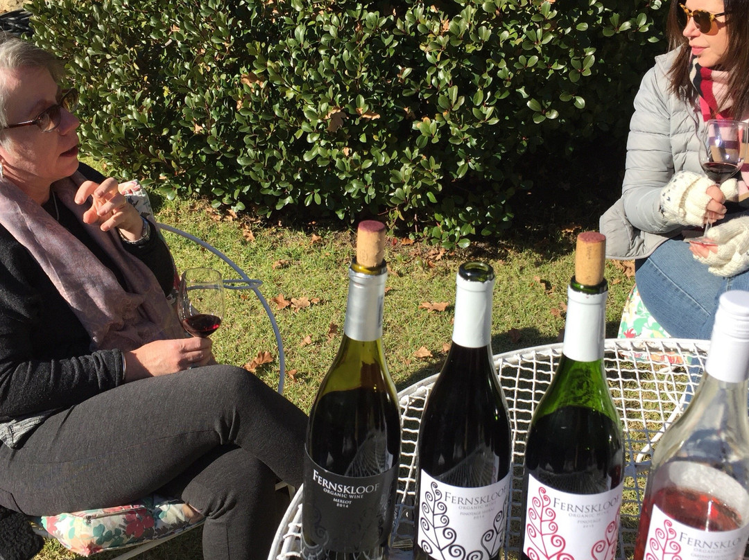 Fernskloof Wines景点图片