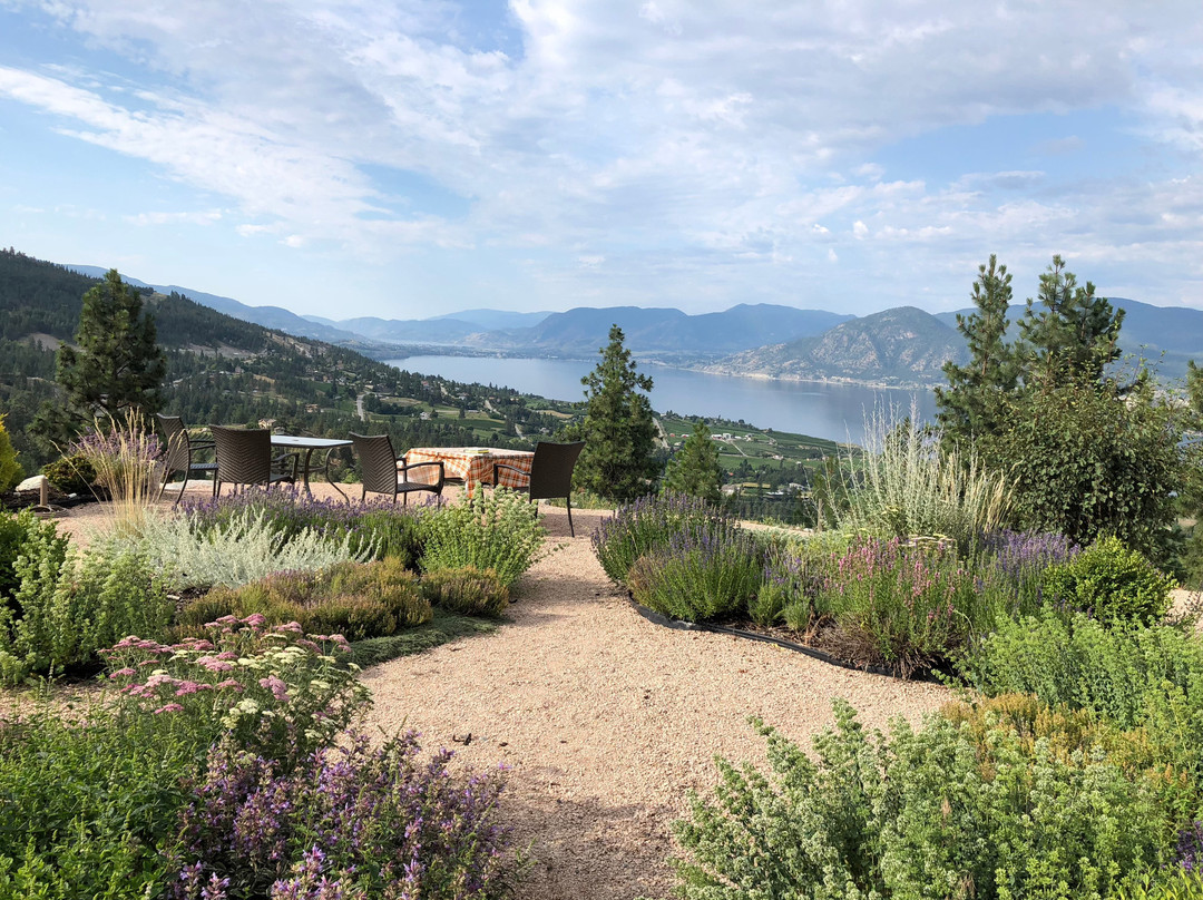 Forgotten Hill Bed & Breakfast主图