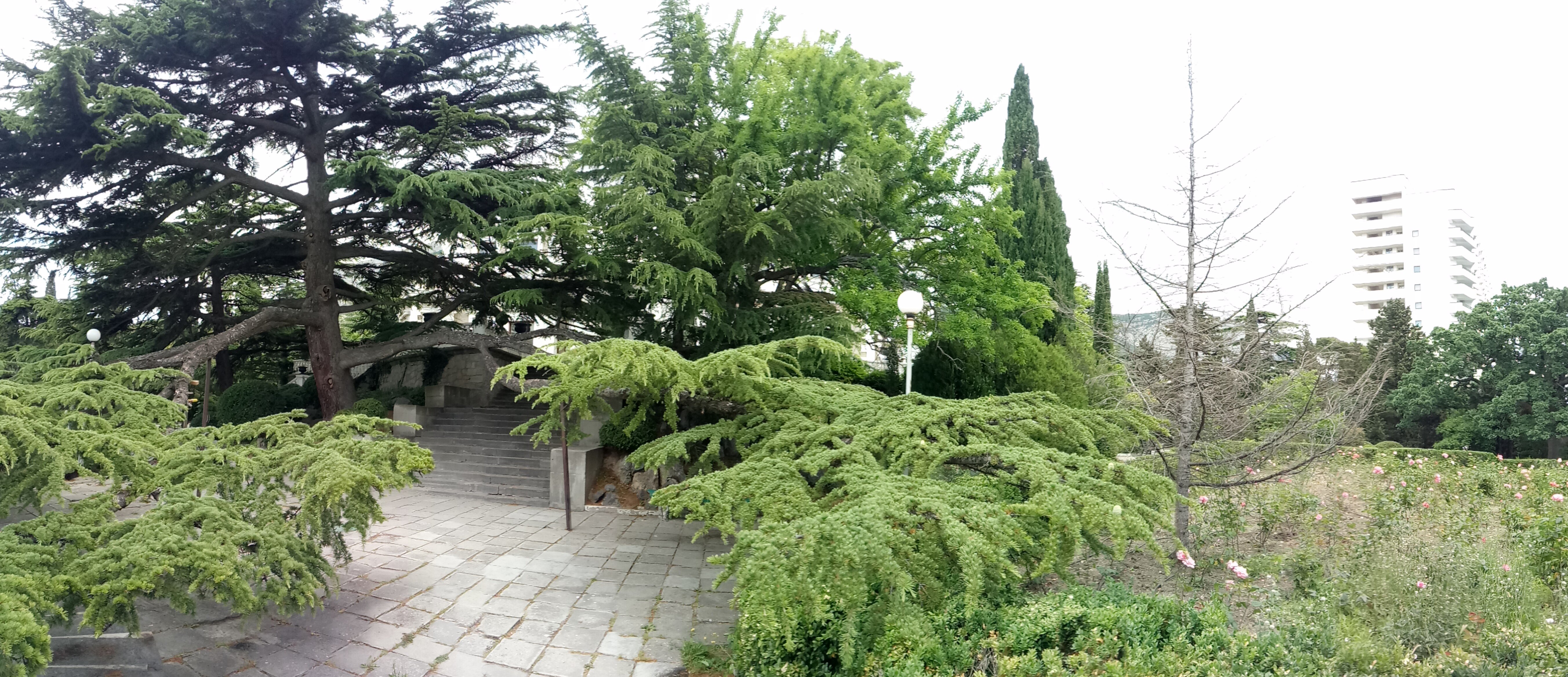 Green Hill Guest House-浴室