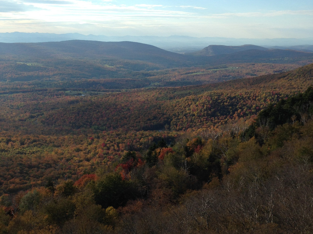 The Warren House主图