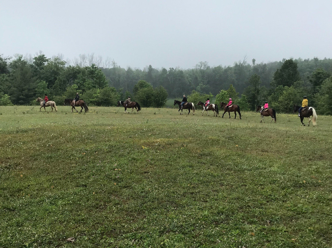 Fallbrook Trail Ranch-Georgetown必去景点