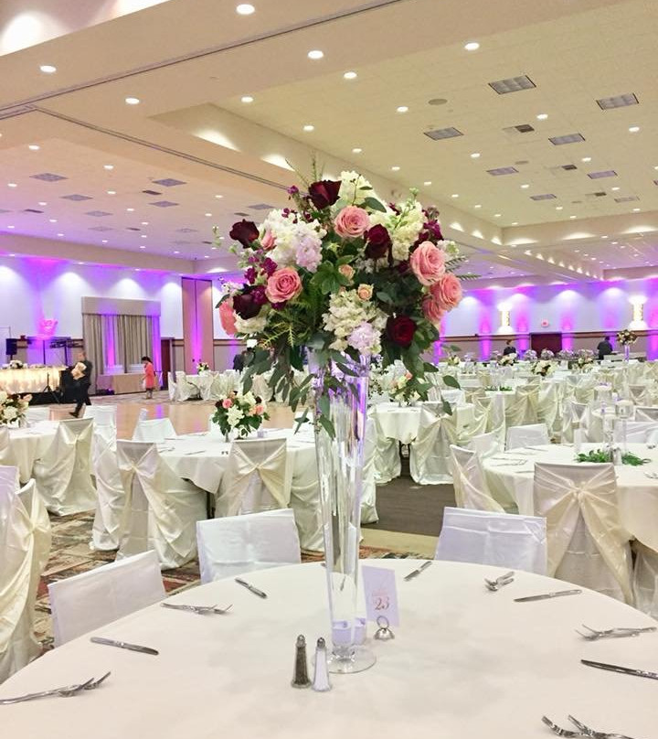 Holiday Inn Stevens Point - Convention Ctr By Ihg主图