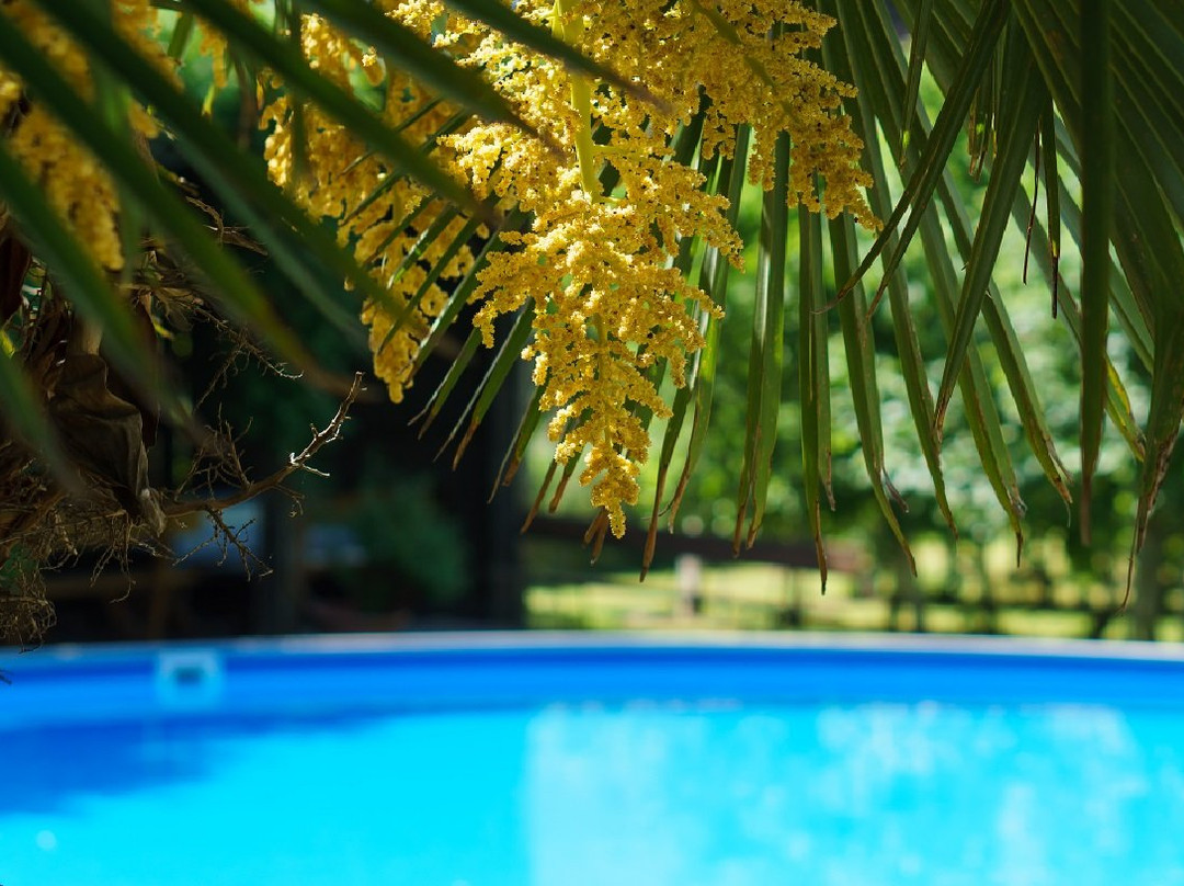 Pension Sunnhofer主图