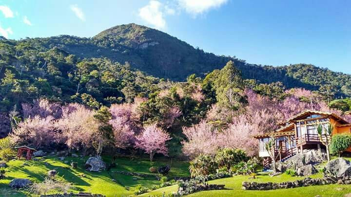 Pousada Eco Resort Nagual主图