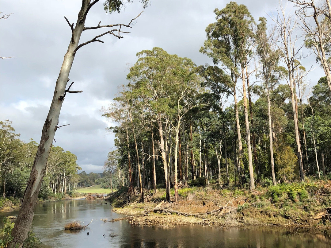 Warrawee Forest Reserve-Latrobe必去景点