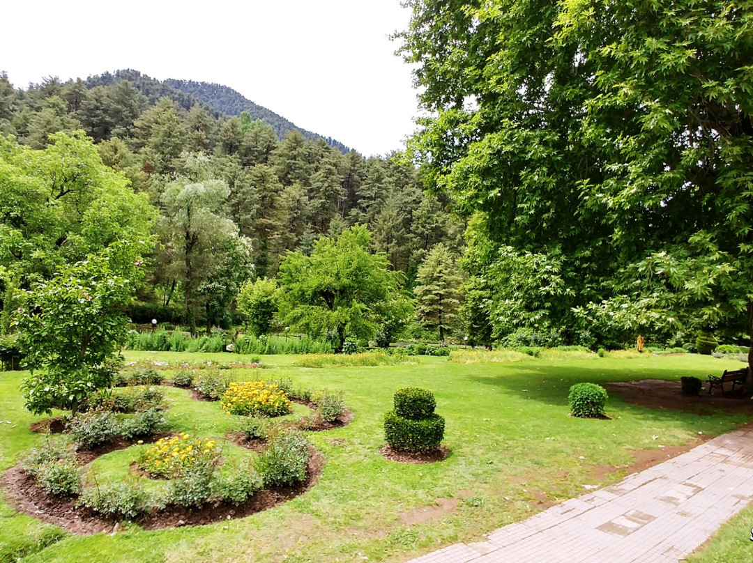 Botanical Garden Kokernag景点图片