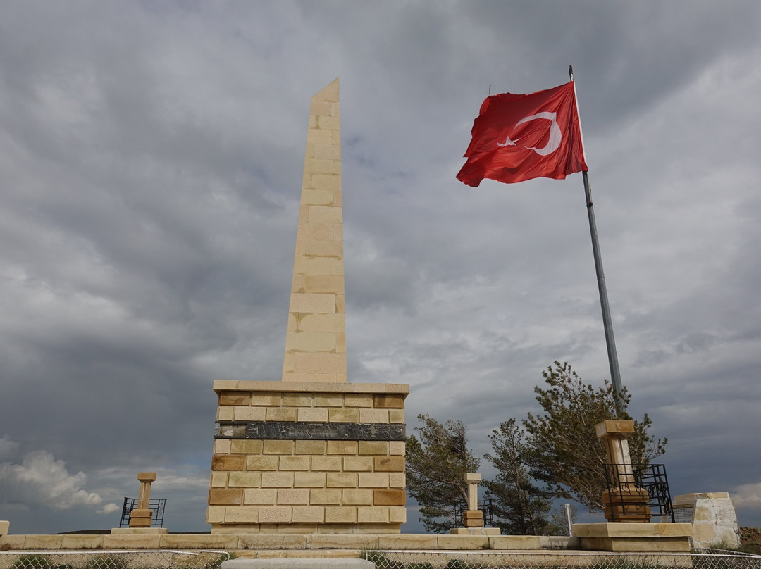 Kop Dagi Mudafasi Tarihi Milli Parki景点图片