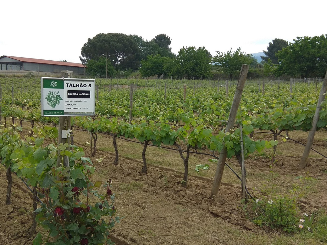 Madre De Agua Hotel Rural de Charme主图