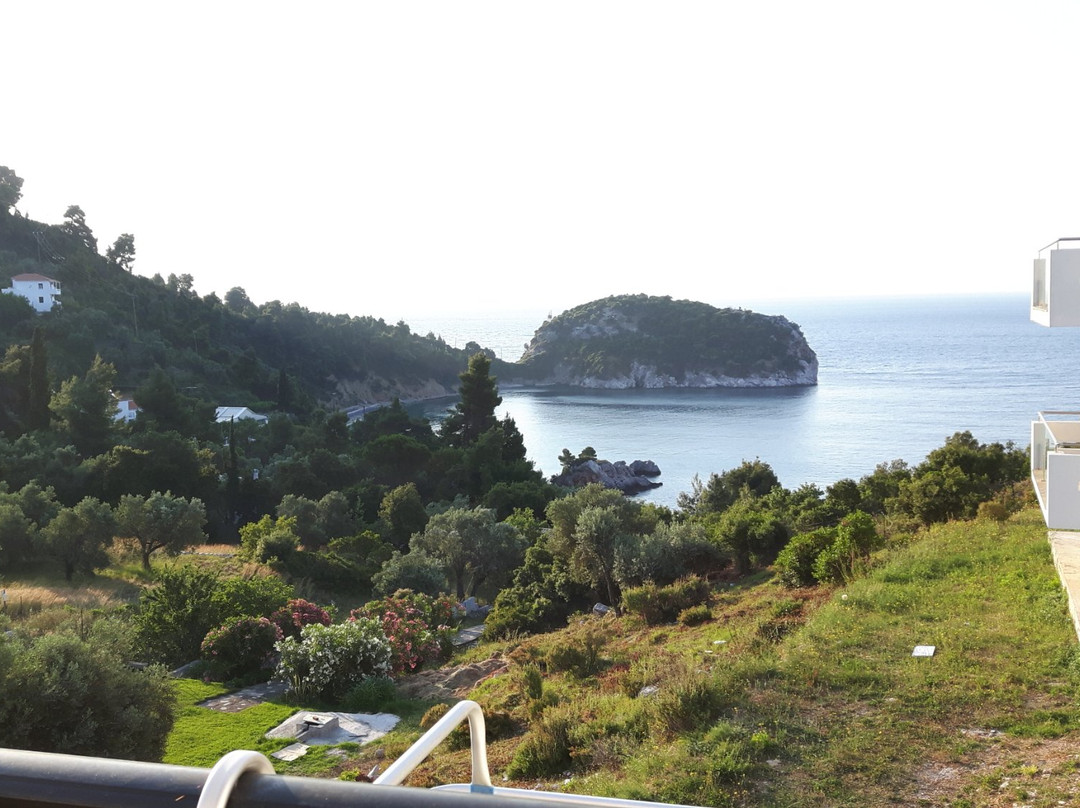 Mando Beachfront主图