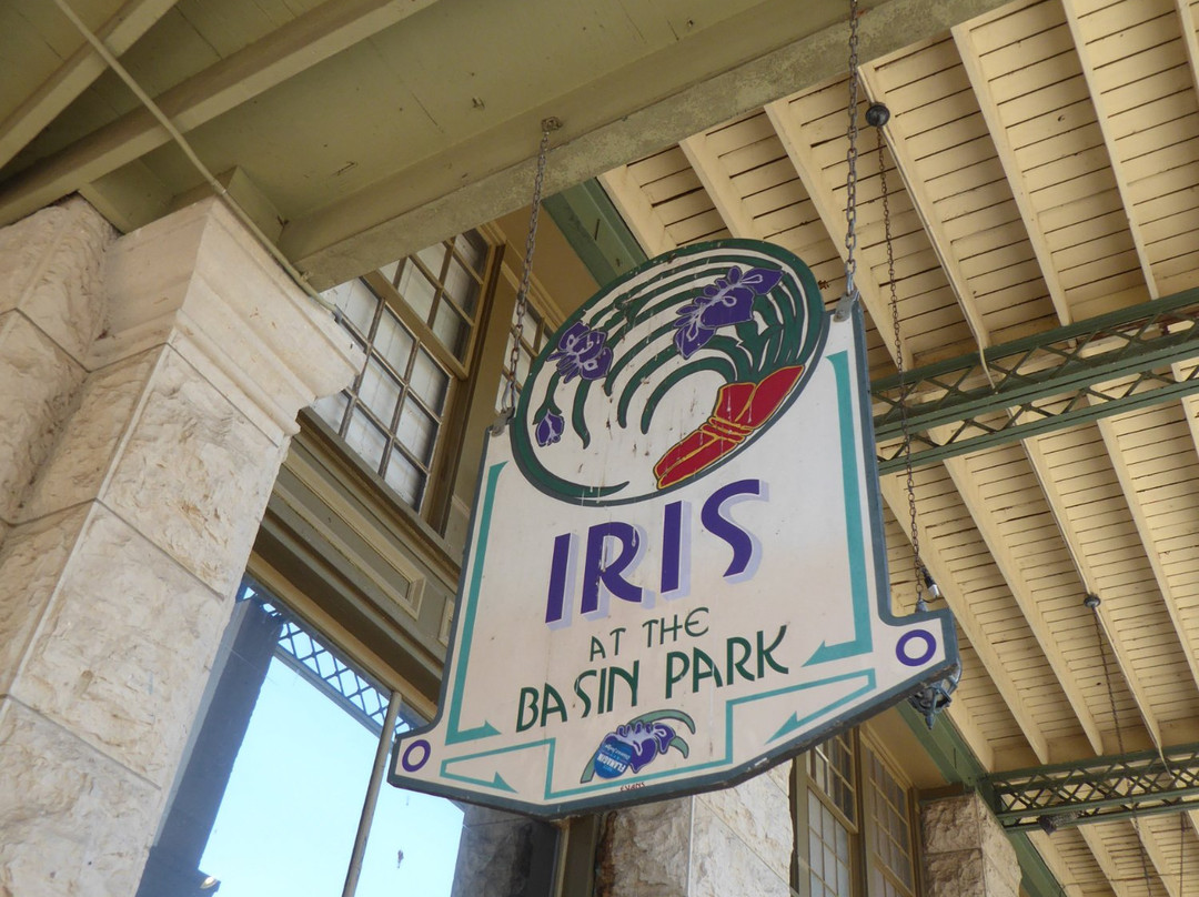 Iris at the Basin Park景点图片