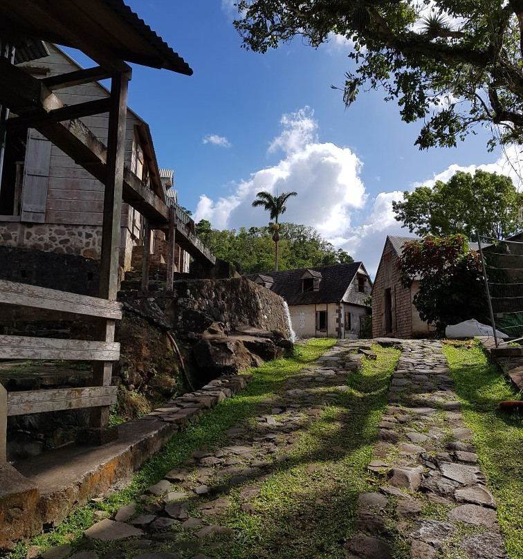 Domaine de l'Habitation la Grivelière景点图片