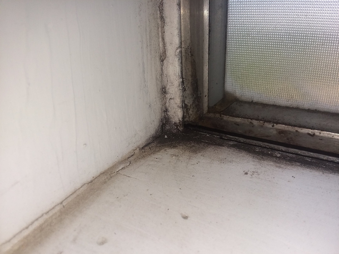 Travelodge by Wyndham Los Banos CA主图