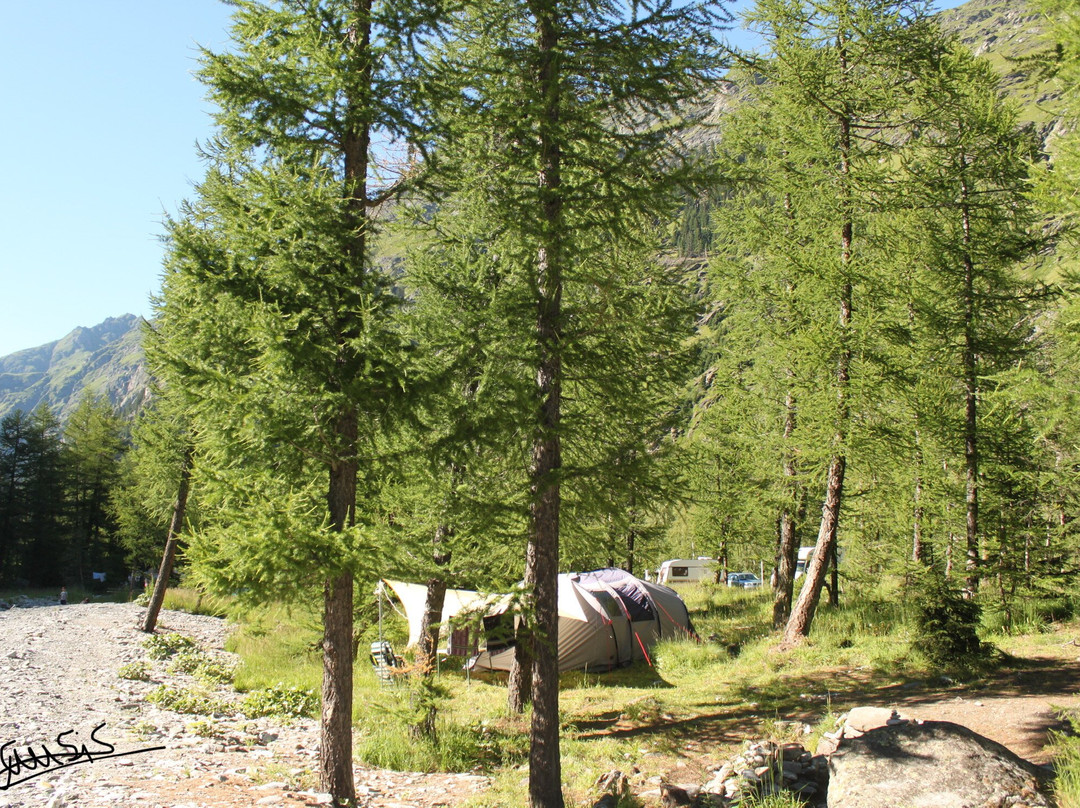 Camping Forêt des Mélèzes