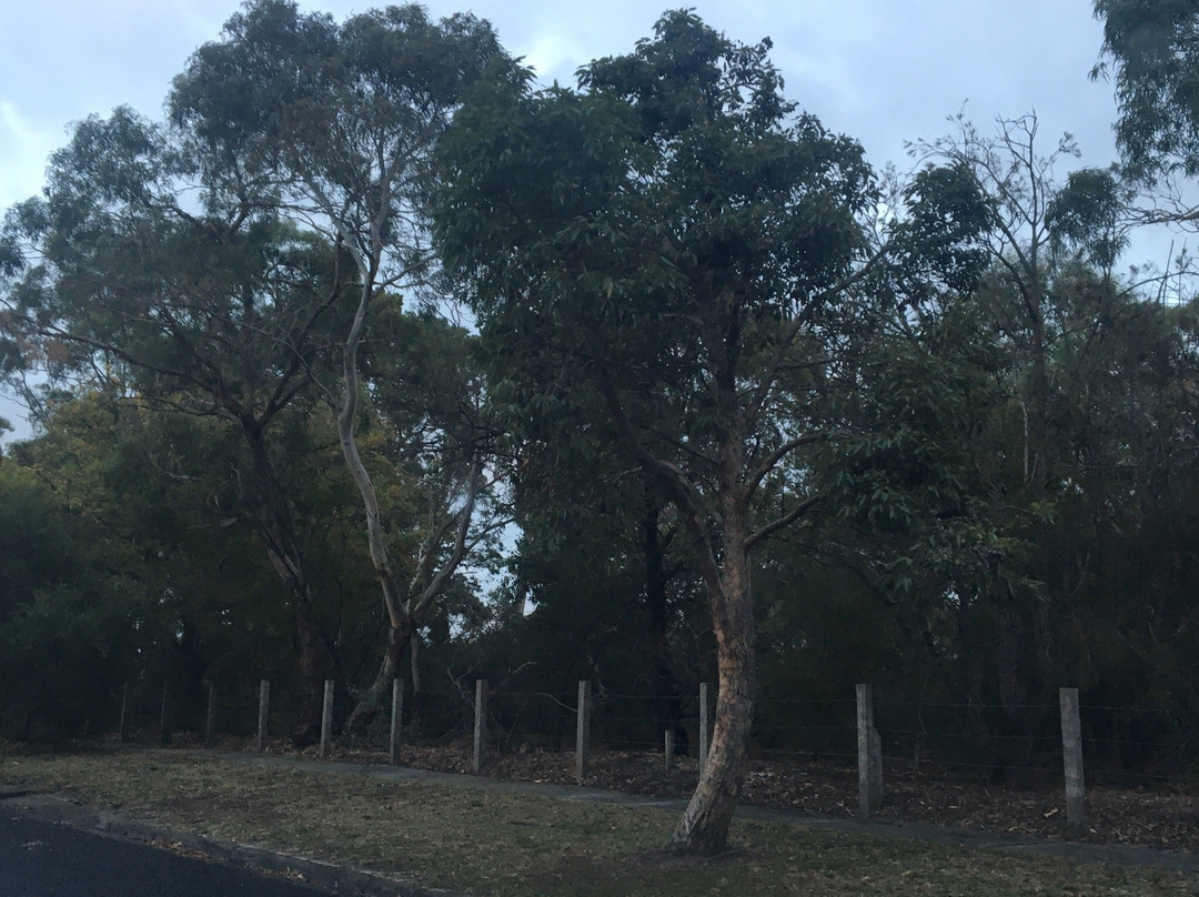 Merindah Park-Sandringham必去景点