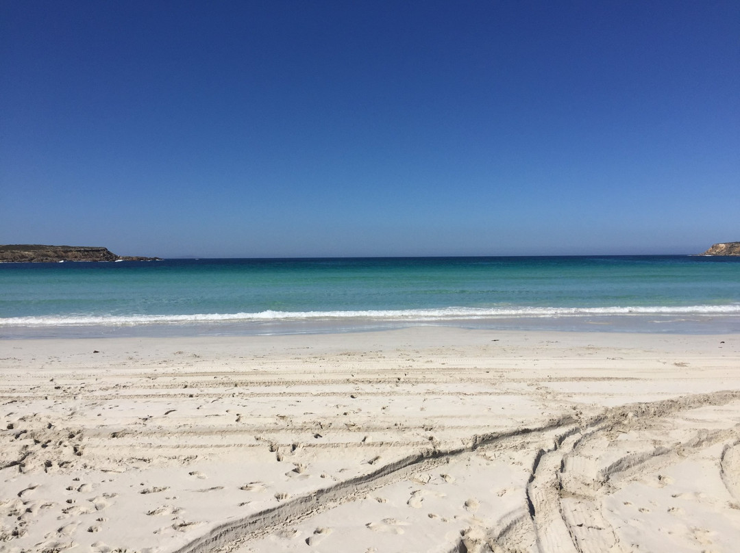 Fishery Bay-Port Lincoln必去景点