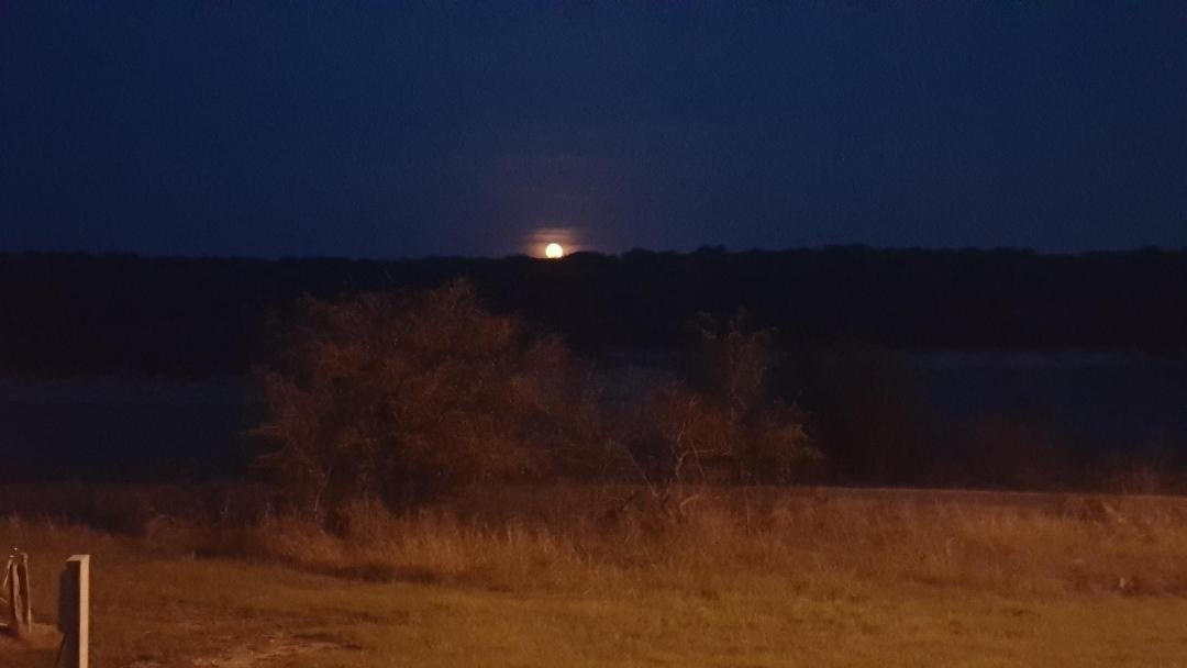 Jim Hogg Park-Georgetown必去景点