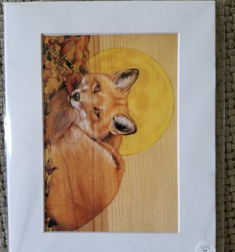 Shaviq Boutique and Art Gallery-拉皮德城必去景点