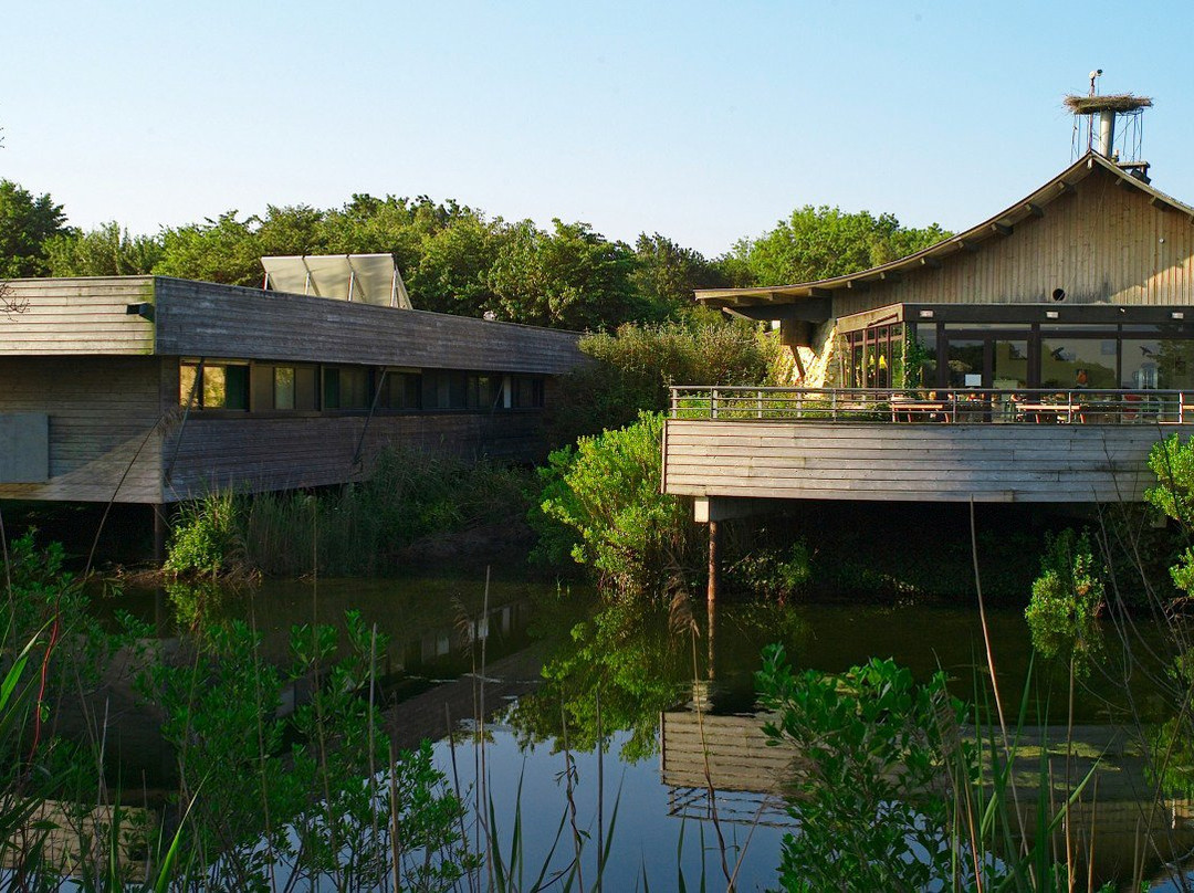 Parc naturel régional des Landes de Gascogne景点图片