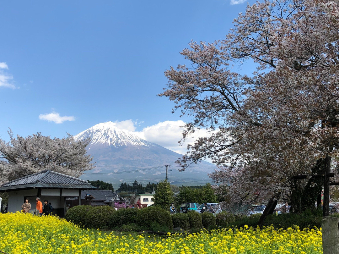 Kariyado no Geba Zakura (Sakura)景点图片