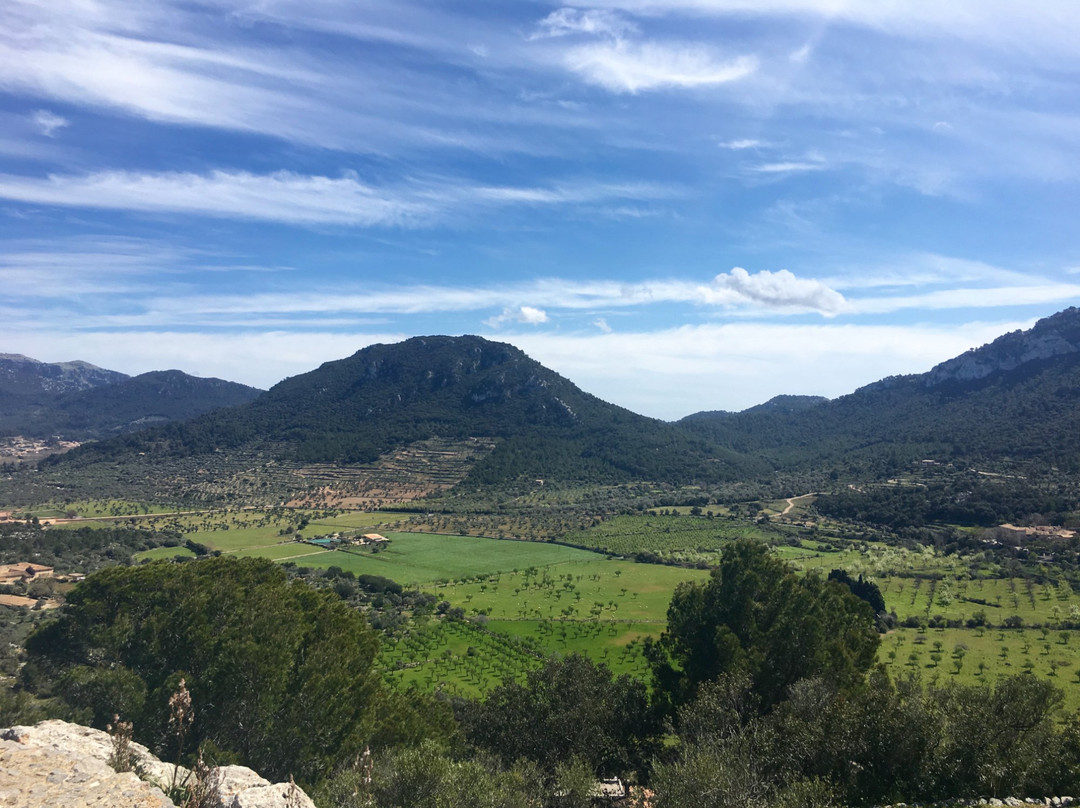 Mirador de Puig de Sa Moneda-法德摩萨必去景点