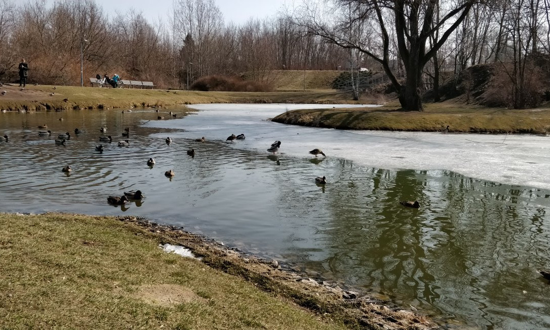 Zwirowisko Park景点图片