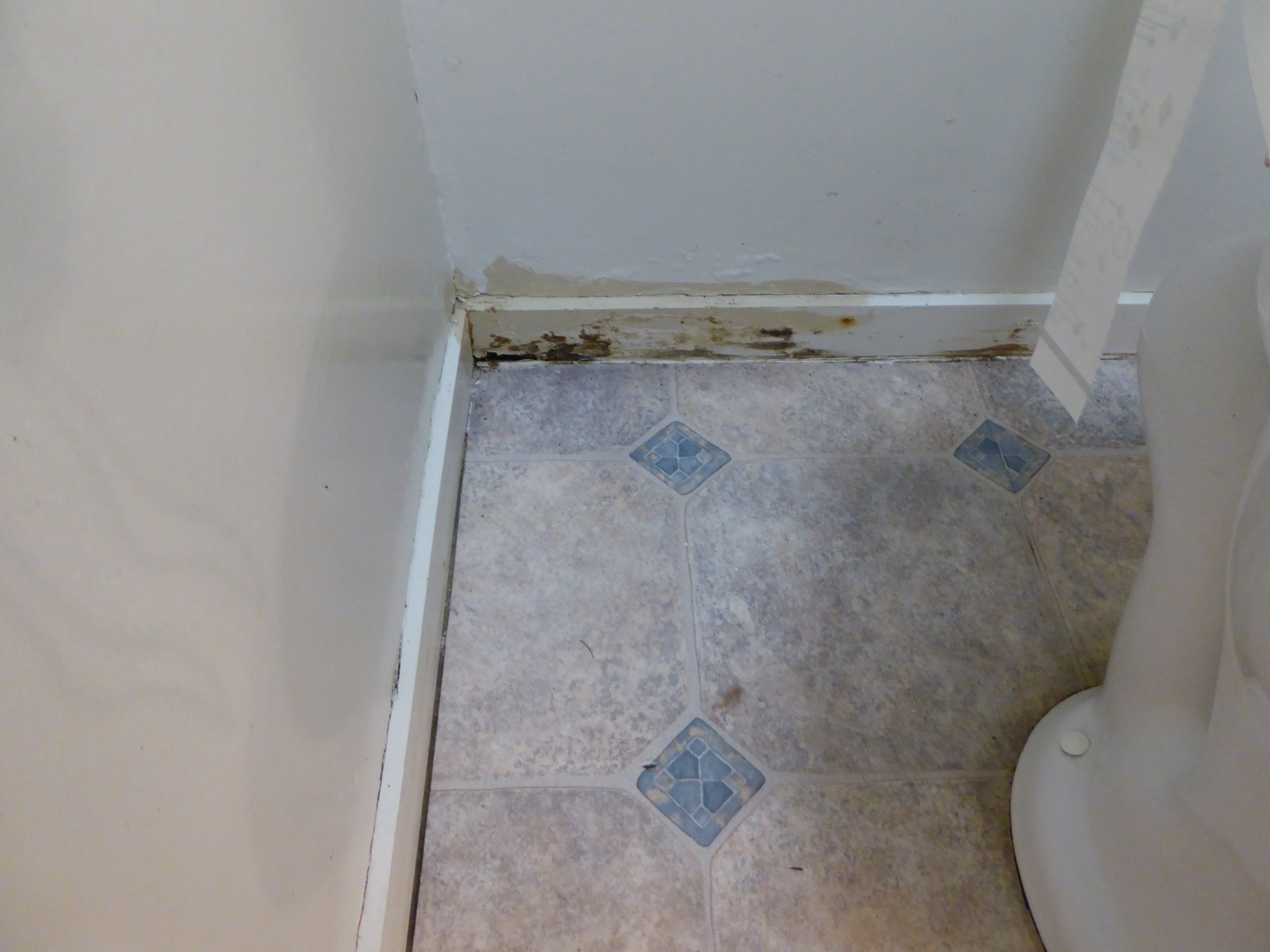 Asure Pembrooke Motor Lodge-浴室