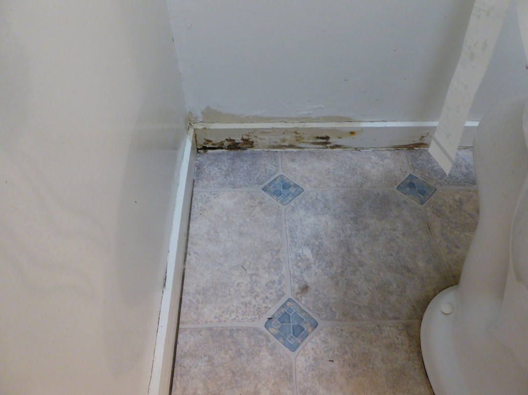 Asure Pembrooke Motor Lodge主图