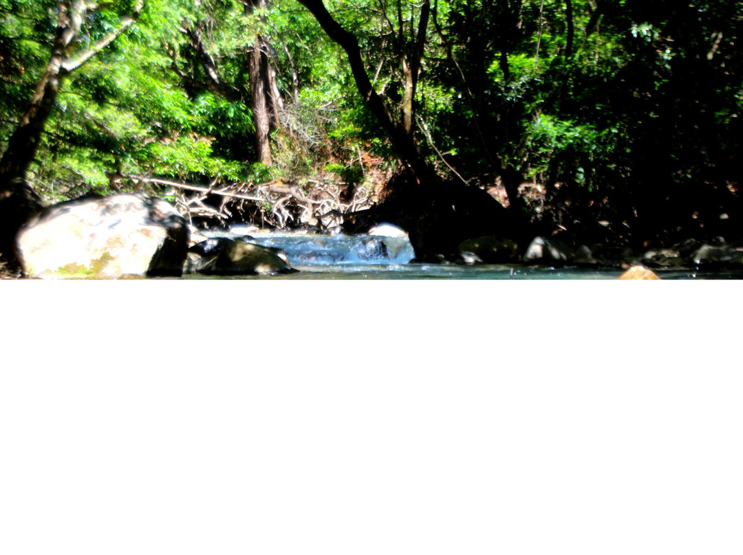 Simbiosis Volcanic Mud Springs and Spa主图