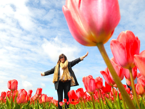 Toms Travel Tours-阿姆斯特丹必去景点