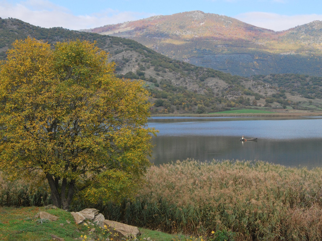 Zazari Lake景点图片
