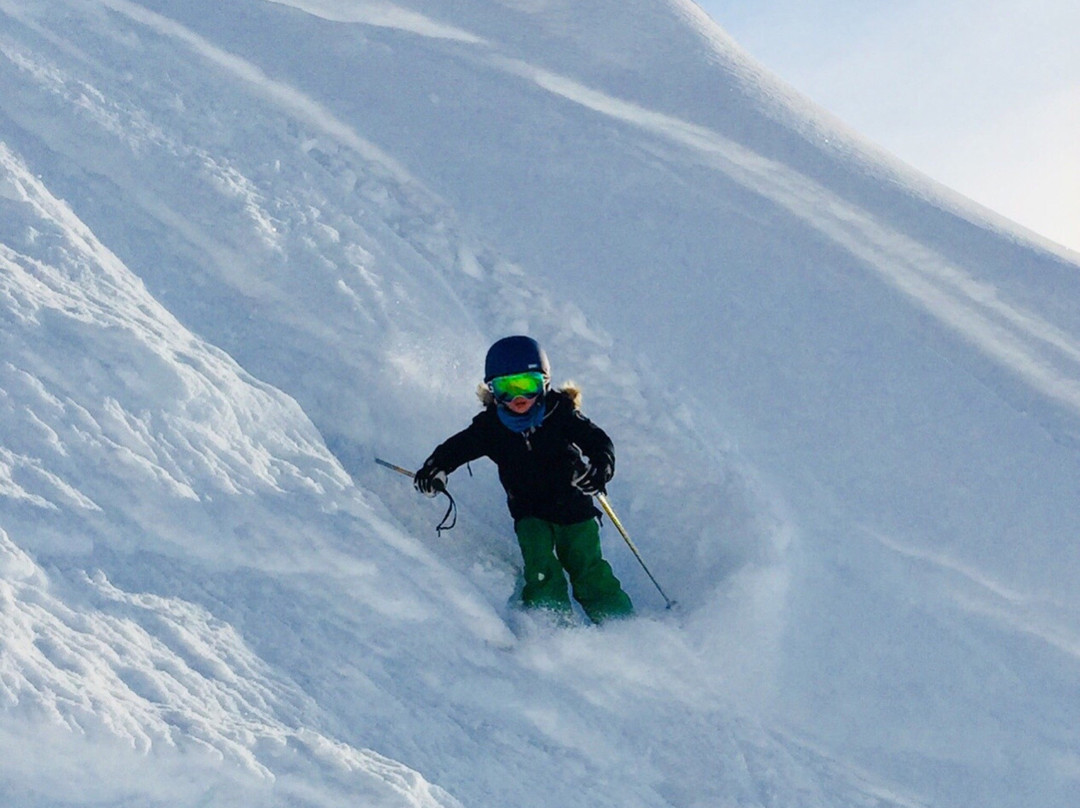 Performance Verbier - Ski School景点图片