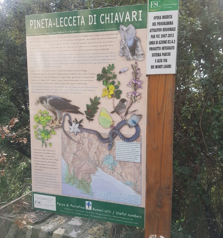 Pineta Lecceta di Chiavari景点图片