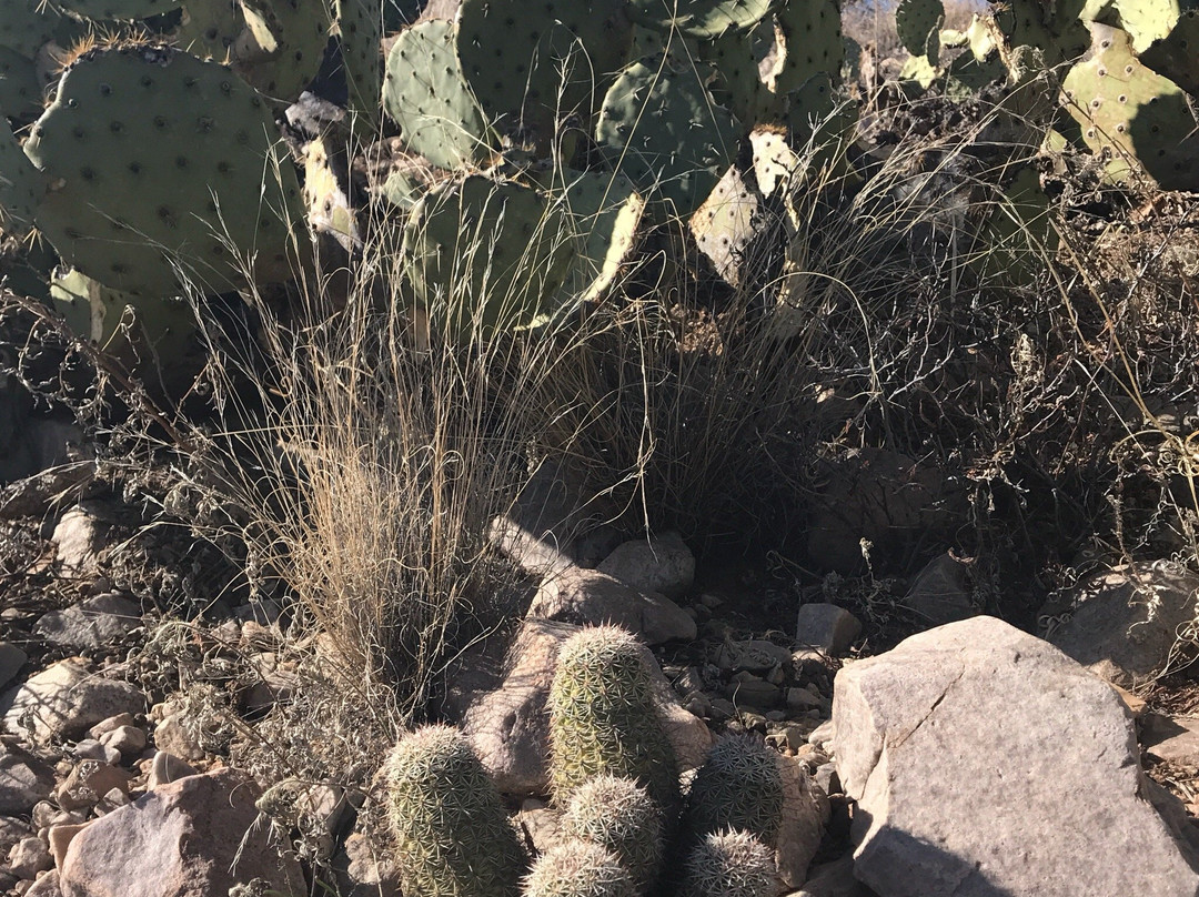 Round Mountain Park-Globe必去景点