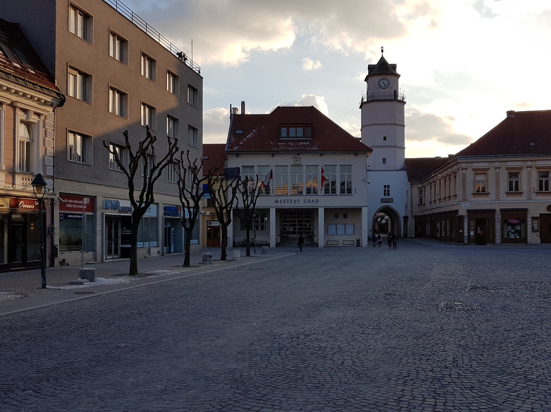 Dubnica nad Váhom旅游攻略图片