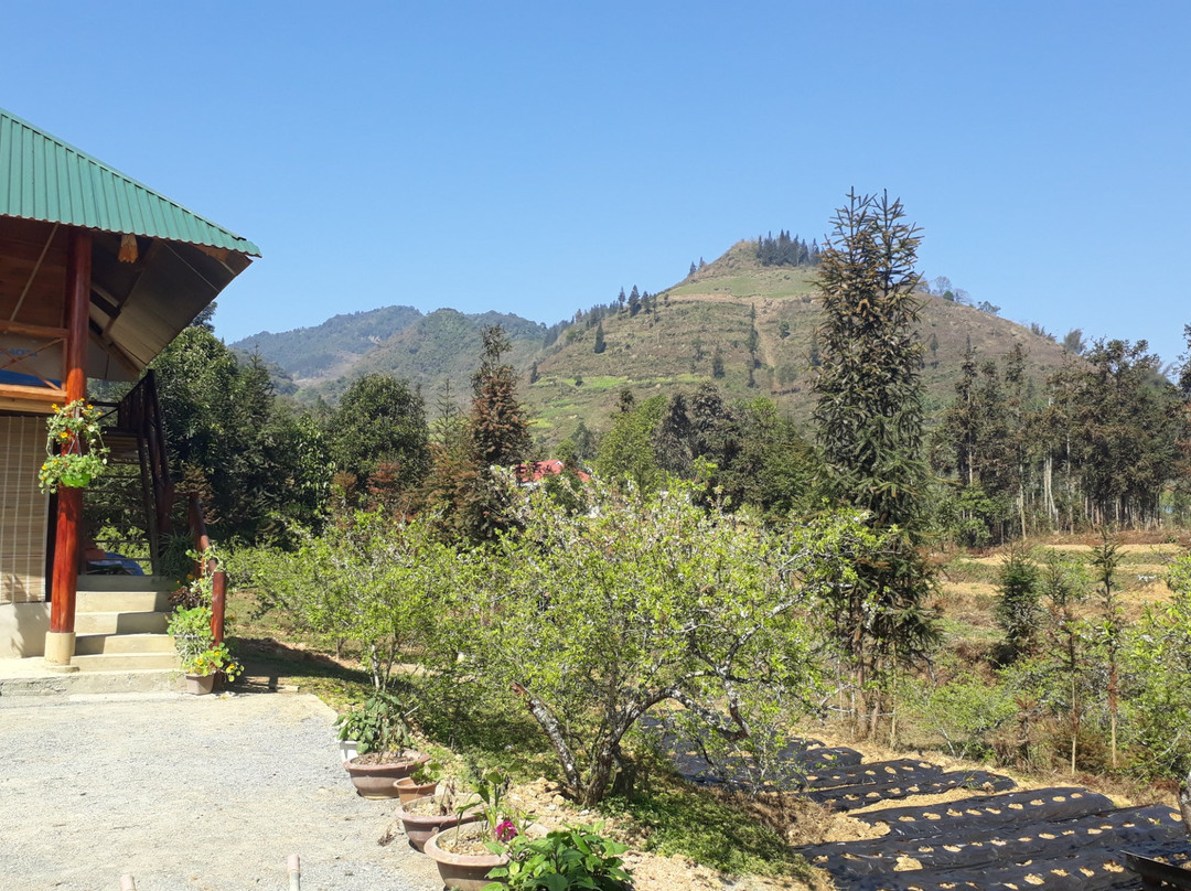 Flower Hmong Homestay
