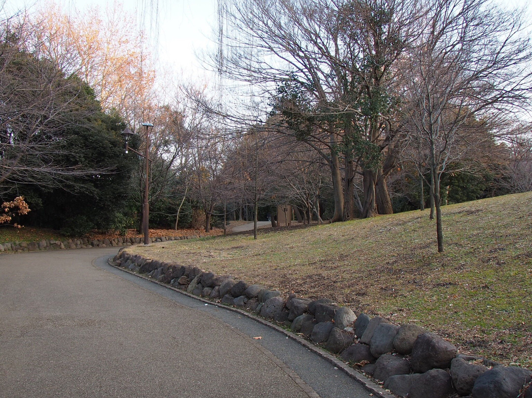 Egota-no-Mori Park-中野区必去景点