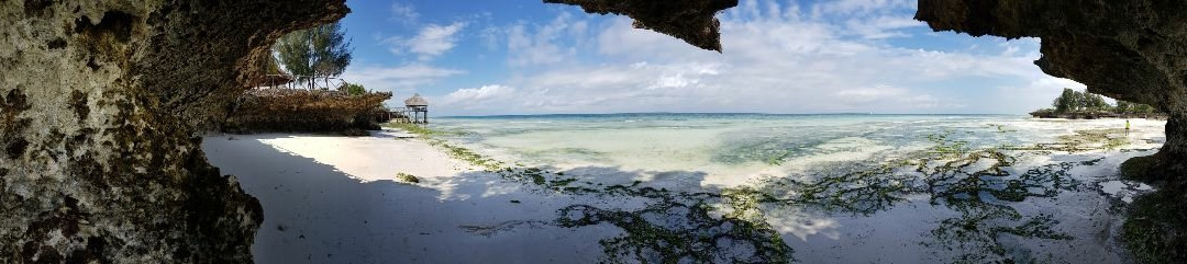 Loasis Beach Hotel主图