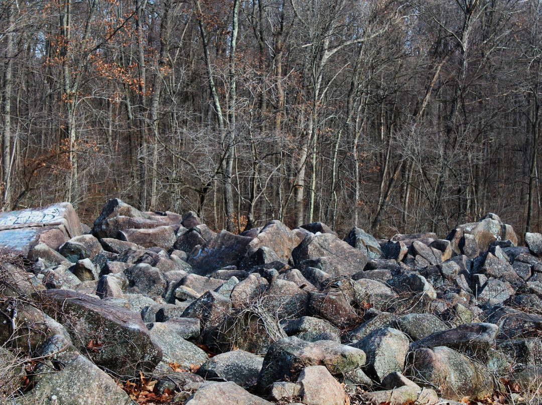 Ringing Rocks Park-Potts Grove必去景点