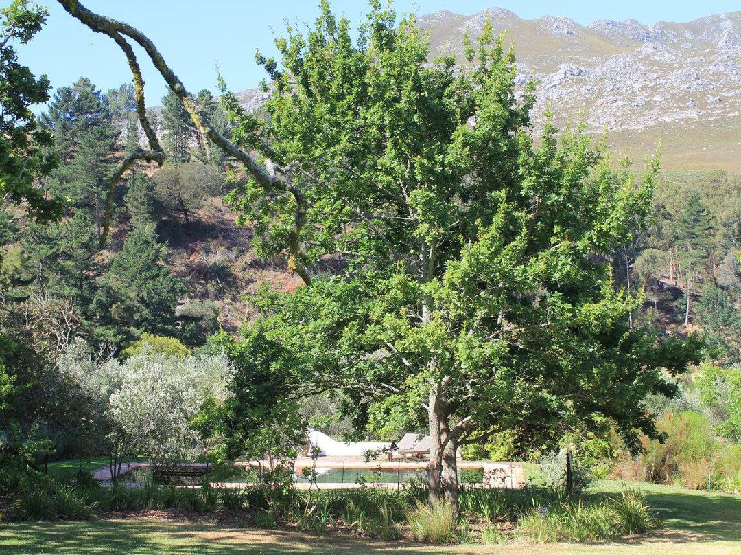 Wildekrans Country House主图