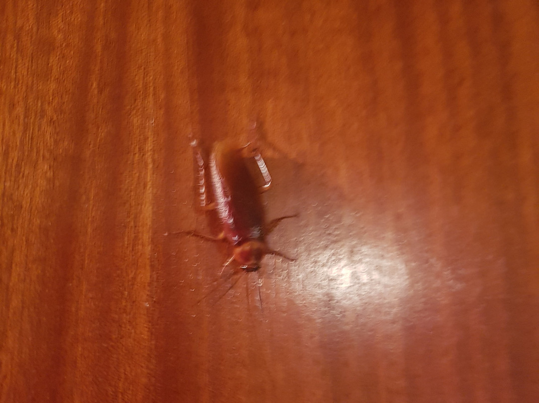 Epicurea