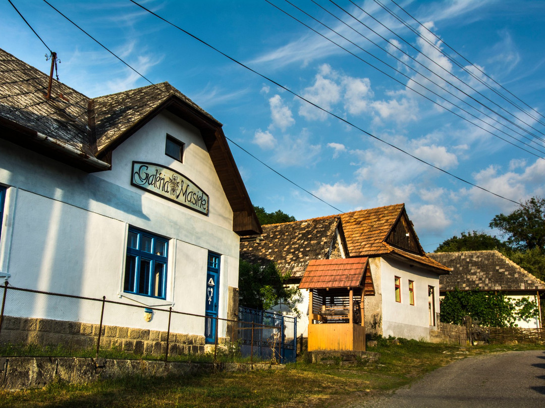 Lisov Muzeum景点图片