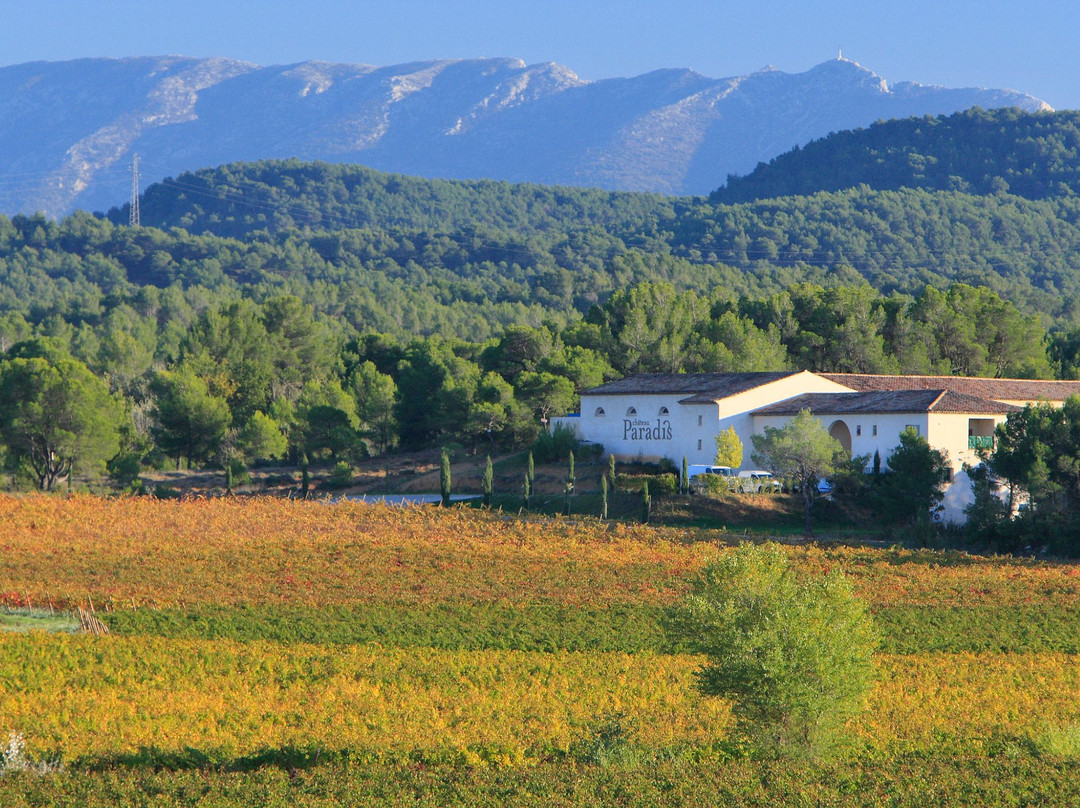 Château Paradis-Le Puy-Sainte-Reparade必去景点