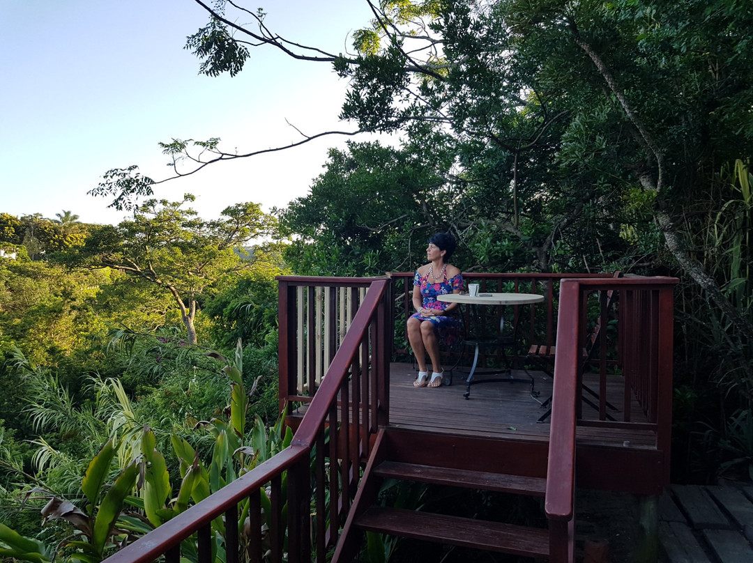 The Loerie Hide主图